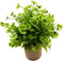 Fake Four Leaf Clover Plants for Bathroom Home Office Desk Decor, Small Artificial Faux Greenery for Farmhouse Decorations (1)...
