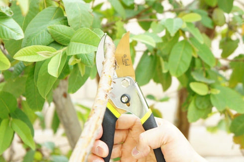 QY-731L Traditional Bypass Pruning 8.5" Titanium Blade- Handheld Gardening Tools Shears...