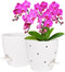 6 Inch Orchid Pots with Holes, 2 Pack Self Watering Planters for Orchids Plastic Orchid Pot Plant Flower Pots for Orchids Indoor Outdoor (White)...