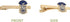 Desert Cactus Phi Beta Sigma Tie bar Fraternity Greek Formal Wear Blazer Jacket (Gold Color Crest Tie Bar)...
