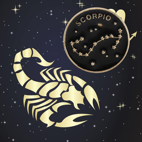 Zodiac Sign Constellation Brooch Astrology Horoscope Birthday Gift for Women Man Astrology Enamel Pins for Birth...