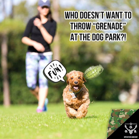 Operation Good Boy Durable Grenade Dog Toy - Patriotic Military Gear Inspired Chew Toy - Durable,Teething, and Interactive Play, Stuffable with Tr...