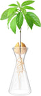 Haoideo Avocado Seed Sprout Starter Vase Planter Pot Glass Avocado Tree Plant Growing Vase Kit Indoor Home Decor Hydroponic Tabletop Flower Pot fo...