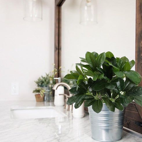 GTIDEA Artificial Shrubs Plants Fake Silk Schefflera Bushes Real Touch Faux Greenery Leaf Arrangements Indoor Outdoor Garden Office Home Table Cen...