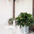 GTIDEA Artificial Shrubs Plants Fake Silk Schefflera Bushes Real Touch Faux Greenery Leaf Arrangements Indoor Outdoor Garden Office Home Table Cen...