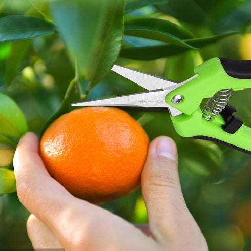 Garden Pruning Shears, Gardening Scissors with Stainless Steel Blades, Heavy Duty Hand Pruner with Gardening Gloves for Easy Flower and Plant Trim...