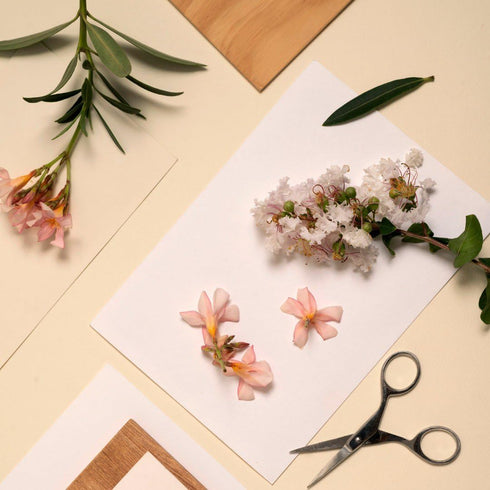 ECOHOME Flower Press Kit Replacement Cardboard Sheets - Ideal for Paper Crafting with Dried Flowers, Extends Lifeline, & Versatile Use in Botanica...