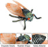 Animal Figures 3 pcs Realistic Plastic Golden Cicada Family Action Model Science Project, Learning Educational Toys, Birthday Gift, Cake Topper fo...
