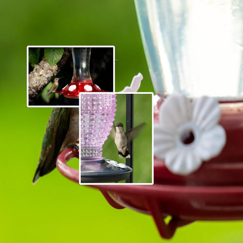 Bird Feeder Replacement Flowers, Unique Shape Multicolor Plastic Material Hummingbird Feeder Flowers for Home white...