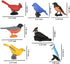 Mini Bird Figurines 7pcs, Birds Cake Cupcake Topper, Miniature Birds Animal Figure Oriole Robin Cardinal Bird Educational Toy, Bird Cake Decoratio...