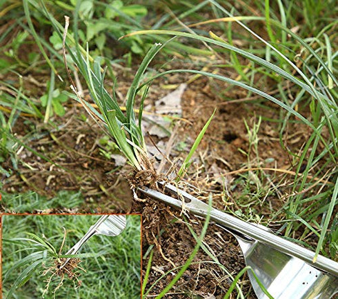 1 PCS Stainless Steel Weeder Manual Household Farm Tool Root Extractor Weeder Loose Soil Raising Fork Garden Gardening...