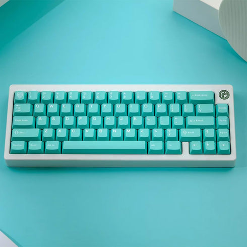 114 Keys PBT Doubleshot Keycaps Cherry Profile Mint Blue Keycap Set Fit for Cherry Mx Switches Alice Keyboard Mechanical Keyboards...