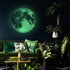 Glow in The Dark Moon Wall Decals 30cm Luminous Art Sticker at Night, Removable Adhesive Wall Decal for Kids Boy and Girl Bedroom...