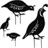 NUOBESTY 4PCS Quail Garden Decorative Statues Metal Quail Garden Stakes Animals Bird Outdoor Decoration for Lawns...