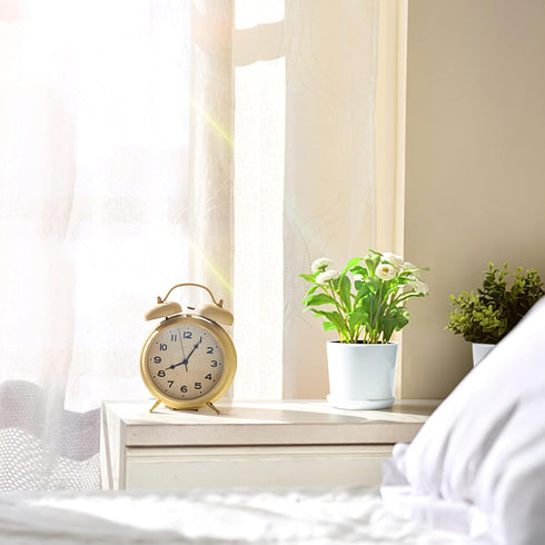 T4U 4 Inch Plastic Planters with Saucer Set of 6, White Plant Pots with Multiple Drainage Holes, Small Indoor Seeding Nursery Pots, Modern Decorat...