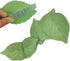 5 Packs Green Leaf-Shaped Sticky Notes Stickers Removable Self-Stick Notes Scratch Pads for Desk Office School Memos...