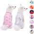 Blueberry Pet Pack of 2 Soft & Comfy Wonderland Striped Cotton Blend Dog T Shirts, Back Length 12", Clothes for Dogs...