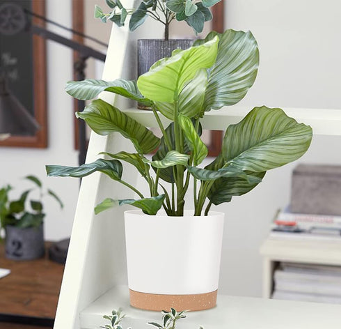 kubvici 8'' Plastic Flower Planter Pots Set of 2 Indoor Outdoor Planters with Drainage Saucer for Garden Home (Green & White, 8 inch)...