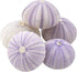 Nautical Crush Trading Sea Urchins Shells for Air Plants - 5 Purple (1.5-2.5") Sea Urchin Shells - Hanging Air Plant Holder - Air Plants Live Hold...
