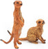 Meerkat Wild Animal Toy Figures Set, Hand-Painted Jungle Animals Figurines Collectible Toys Gifts, Party Favors, School Projects Cake Toppers for ...