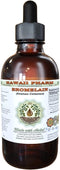 Hawaii Pharm Bromelain Alcohol-Free Liquid Extract, Bromelain (Ananas Comosus) Dried Powder Glycerite Natural Herbal Supplement 2 oz...