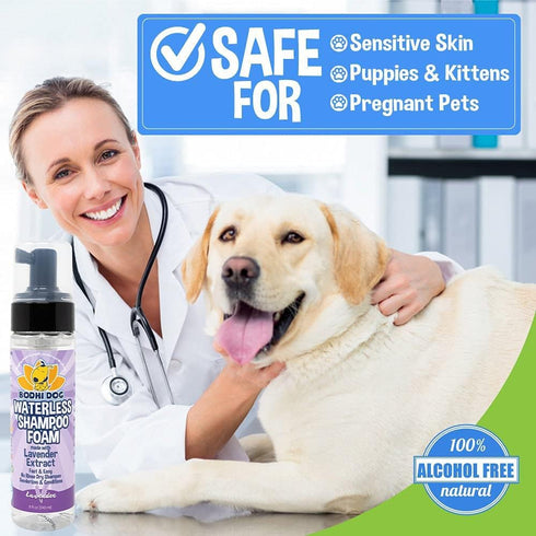 Bodhi Dog Waterless Foaming Shampoo | Natural Pet Shampoo for Dogs & Cats | Waterless Dry Shampoo for Bathless Cleaning | No Rinse Required | Made...