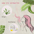 2-PACK Lily of Valley Essential Oil - 100% Pure Organic Natural Plant (Convallaria majalis) Lily of Valley Oil for Diffuser, Aroma, Spa, Massage, ...
