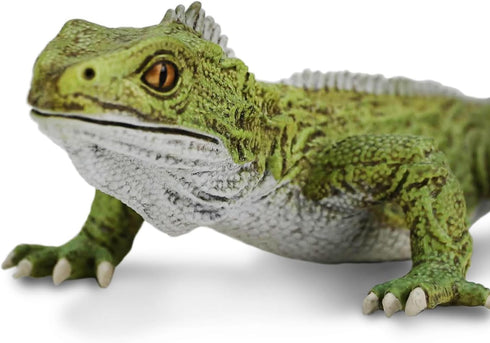 Safari Ltd. Tuatara Figurine - Detailed 7" Plastic Model Figure - Fun Educational Toy for Boys, Girls & Kids Ages 3+...