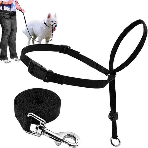 BARKLESS Dog Head Collar, Adjustable and Padded, No-Pull Training Tool for Dogs on Walks, includes 1 Dog Leash and A Training Guide...