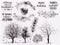 Autumn Trees Clear Stamps for Card Making Leaves Words Transparent Silicone Stamp DIY Scrapbooking Supplies Embossing Paper Card Album...