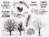 Autumn Trees Clear Stamps for Card Making Leaves Words Transparent Silicone Stamp DIY Scrapbooking Supplies Embossing Paper Card Album...