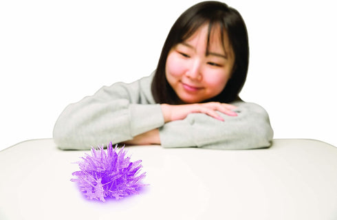 Toysmith You're A GEM - Hi There! Delightfully Witty Gift, Crystal Growing Kit, Desk Toy, Science Kits, Gifts for Friends, for All People Ages 10+...