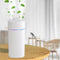 600ml Double Spray Small Humidifier for Bedroom, Mini Humidifier for Plant, Desk,Plant Humidifier with Double Spray, Portable Double Jet Humidifie...