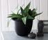 The HC Companies 9 Inch Sevilla Planter - Lightweight Indoor Outdoor Plastic Plant Pot for Herbs and Flowers, Painted Black...