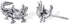 Boma Jewelry Sterling Silver Axolotl Stud Earrings...