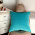 Artcest Cozy Solid Velvet Throw Pillow Case, Decorative Couch Cushion Cover, Soft Sofa Euro Sham with Zipper Hidden, 24"x24" (Light Teal)...