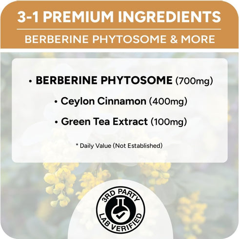 High Absorption Berberine Phytosome - 10X More Bioavailable | Weight Management & Metabolic Support for Women & Men | Ceylon Cinnamon + Green Tea ...