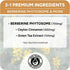 High Absorption Berberine Phytosome - 10X More Bioavailable | Weight Management & Metabolic Support for Women & Men | Ceylon Cinnamon + Green Tea ...