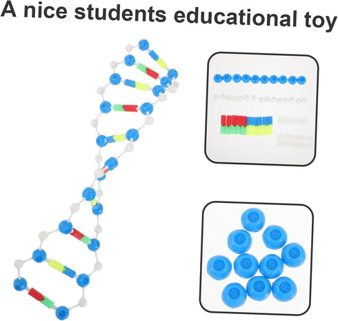 Dna Double Helix Model Components Educational Teaching Model Dna Teaching Aids Molecular Model Self-assembling Model Dna Model Kit Biology Dna Mod...