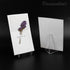 Framendino, 20 Pack Triangle Acrylic Easel Stands for Display Mini Picture Frame Plate Holders Photo Holder Picture Card Weddings Home Decoration ...
