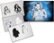 UMR-Design AS-089 woman Airbrush Stencil Template Step by Step Size M...