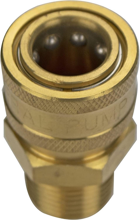 Simpson Cleaning 7102246 Replacement 3/8-Inch QC Socket for Pressure Washer Pumps, 1/2-Inch MNPT, Gold...