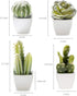 Artificial Mini Succulent & Cactus Plants in White Cube-Shaped Pots for Home Decor, Set of 4...