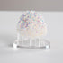 Clear Acrylic Rocks Display Stand, 2.5Inch Three-Peg Round Acrylic Display Easels Holders for Gemstone Agate Slices Crystals Painted Rocks Mineral...