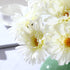 TOPIA Artificial African Daisies Flowers African Daisy Silk Flowers Artificial Gerbera Daisies Pack of 10 (White)...