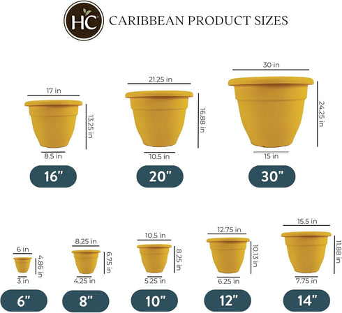 The HC Companies 10 Inch Caribbean Planter - Lightweight Indoor Outdoor Plastic Plant Pot for Herbs and Flowers, Honey...