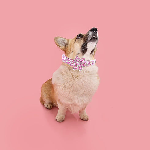 Elegant little tail Dog Collar with Flower, Watermelon Print Pet Collar Flower Dog Collar Summer Cute Dog Collar Adjustable Dog Collar for Large D...