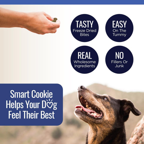 Freeze Dried Beef Liver Bites - Single Ingredient Beef Liver Dog Treats - Low Calorie Training Treats for Dogs - 2oz Bag, 1 Pack...