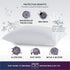 PureCare Kids Rise & Shine Pillow Protector Youth 21" x 16" (FTA511)...