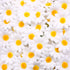 JOHOUSE 200PCS Silk Daisy Flower Heads, Gerbera Chrysanthemum Artificial Daisies Table Confetti for Baby Showers Birthday DIY Crafts...